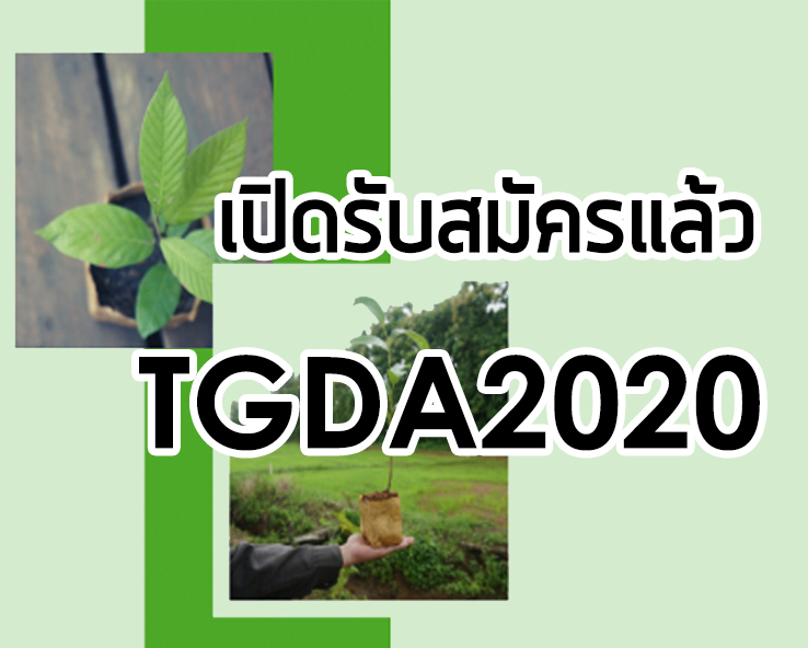 TGDA 2020 เปิดรับสมัครแล้วตั้งแต่วันนี้ – 29 พฤศจิกายน 2562